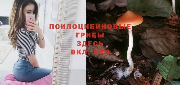 бутират Медвежьегорск